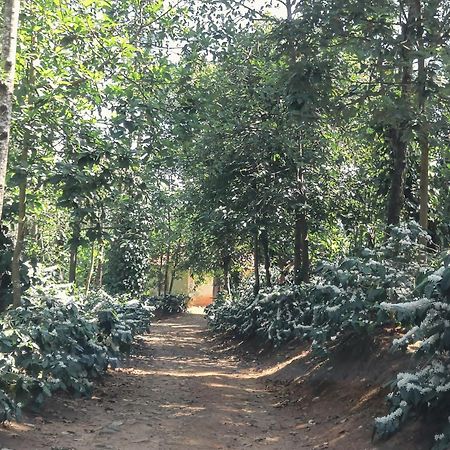 Jp Homestay Somwarpet Coorg Hangal ภายนอก รูปภาพ